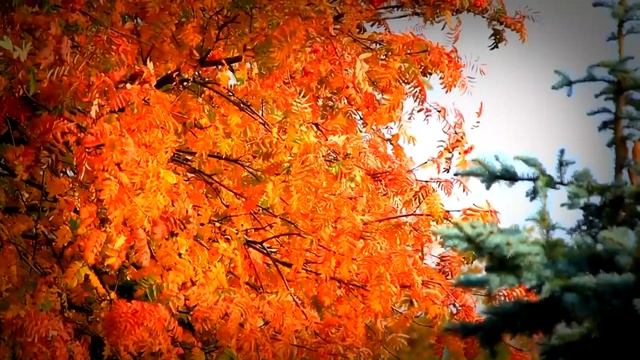 «Ни о чём» смотреть онлайн