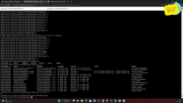 Docker Daemon смотреть онлайн