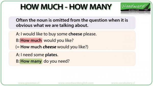 How much? How many? - English Grammar Lesson