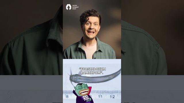 Почему нельзя пИсать в Амазонку? 🤯👉 смотреть онлайн