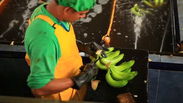 Turbana: Banana Journey смотреть онлайн