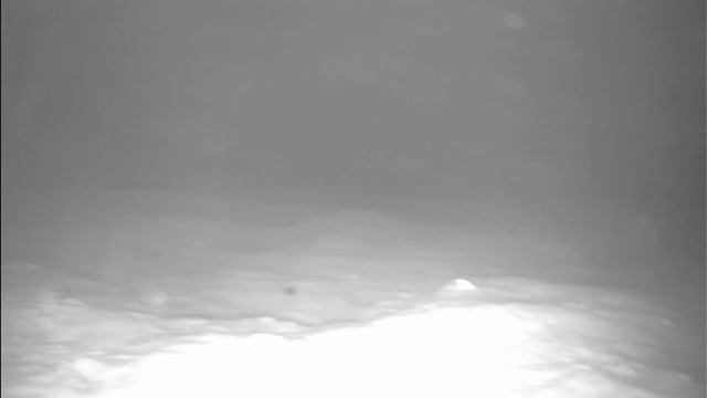 У автомобильного моста через р. Шоша 07.01.2021 смотреть онлайн