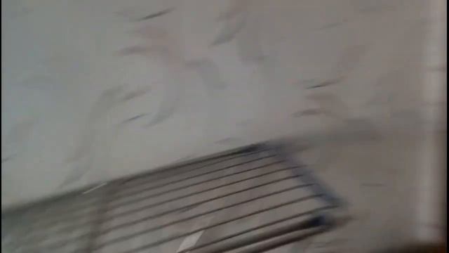 VLOG ПРИЕХАЛИ ГОСТИ 1ЧАСТЬ/ОТМЕЧАЕМ НОВЫЙ ГОД и РОЖДЕСТВО/ДАРИМ ПОДАРКИ смотреть онлайн