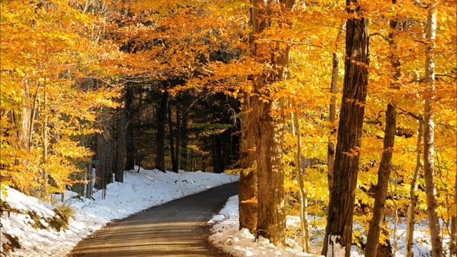 Бывшая жена моего мужа постоянно скидывает нам сына, хотя...Истории из жизни смотреть онлайн