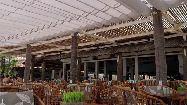 4K Нячанг сегодня, 2023. Цены на фрукты и лежаки. Прогулка к морю. Nha Trang смотреть онлайн