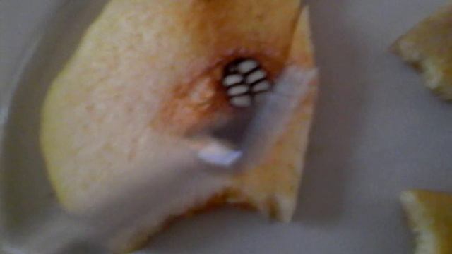 ЧТО ЭТО???? смотреть онлайн
