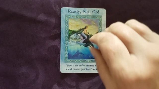 Ready set Go... ?♀️??♂️??♀️? ( timeless) Tarot/Oracle cards ?????? смотреть онлайн