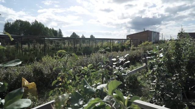 Сила Суздаля - презентация компании