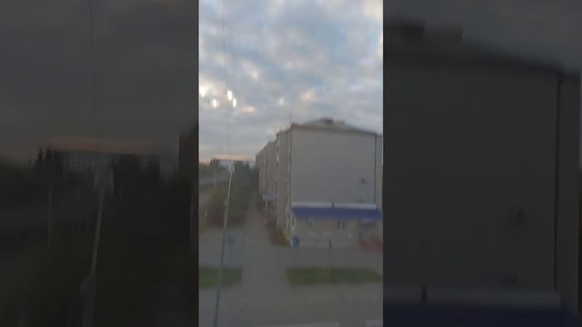 Мухи атакуют. Что делать? Окно не открыть,через маскитку лезут. смотреть онлайн