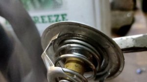 термостаты на мтз нового образца