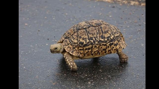 Коронавирус последние новости на сегодня 15 апреля из Италии Сколько заболевших умерших смотреть онлайн