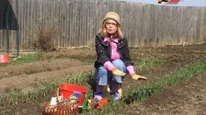 Лучки пучки.  Серия 142.  Уход весной за озимым луком.