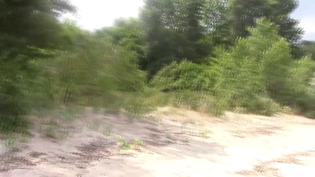 Отдых Голубая Бухта Лето 2020 смотреть онлайн