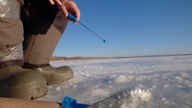 Окуни озера Большой Куяш. Клюют? Клюют конечно!!! смотреть онлайн