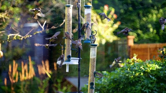 Restaurant pavilion / Беседка летнего ресторана смотреть онлайн
