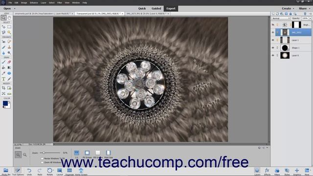 Learn How to Color-Code Layers in Adobe Photoshop Elements 2022: A Training Tutorial смотреть онлайн