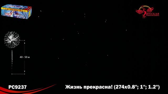 PC 9237.mp4 смотреть онлайн