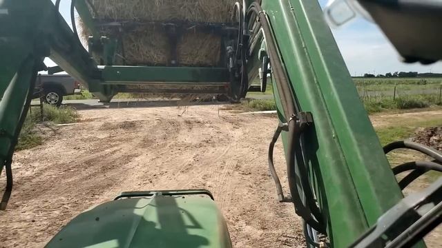 Bull Breeding Young Heifer! смотреть онлайн