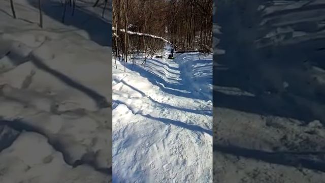 Зимние прогулки. смотреть онлайн