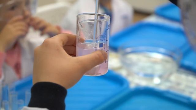 Клуб юных химиков "Фарадей" в Сочи смотреть онлайн