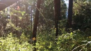 Письма о духовной жизни.  Болезни.  Игумен Никон Воробьев