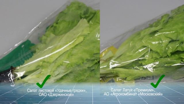 Экспертиза НОВОГОДНИЙ СТОЛ_проверка продуктов смотреть онлайн