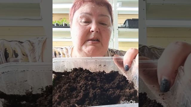❗Секретный состав❗ субстрата для пикировки рассады !#грунтдлярассады #субстратдлярассады