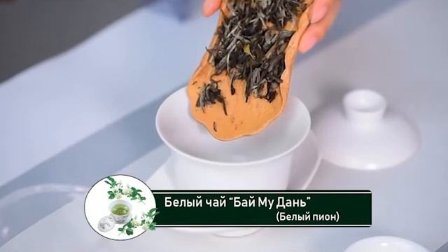 Белый чай "Бай Му Дань" (Белый пион) смотреть онлайн