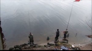 Ловля плотвы в проводку матчевым удилищем.