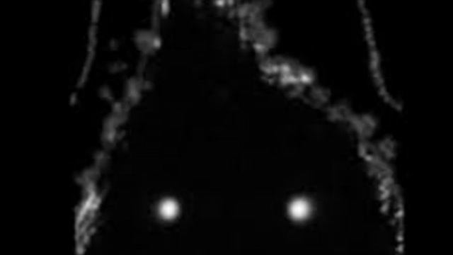 Hinn Nextbot Chase Music (HÌÐÈ Nextbot) (HQ Sound Update)