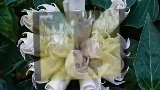 Поздравление с 8 Марта! смотреть онлайн