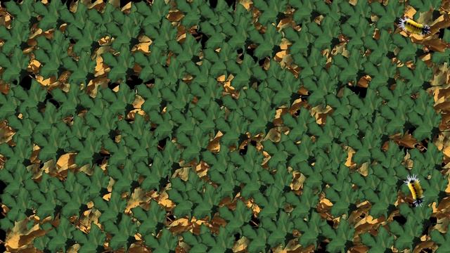 Windows 95 Plus! Screensaver - Nature (4K) смотреть онлайн