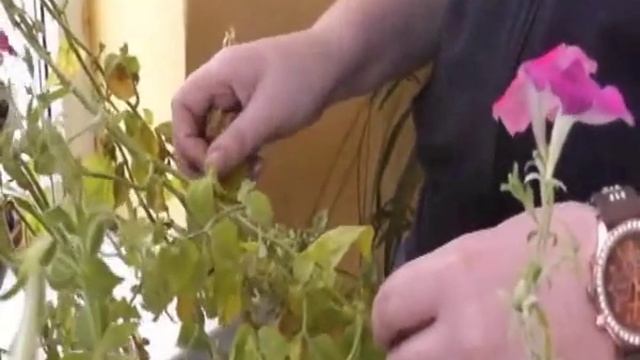 Землеустройство и строительство (ролик УПТК) смотреть онлайн
