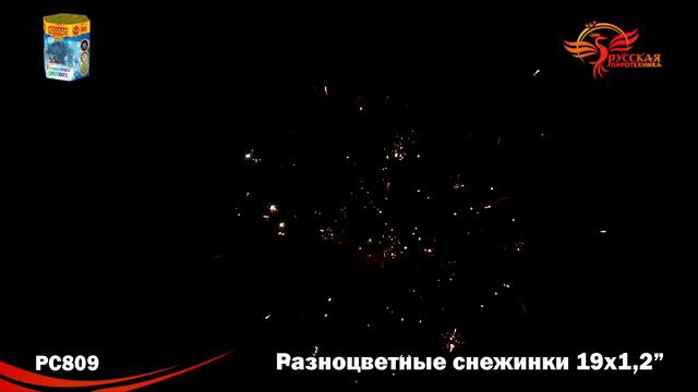PC 809 смотреть онлайн