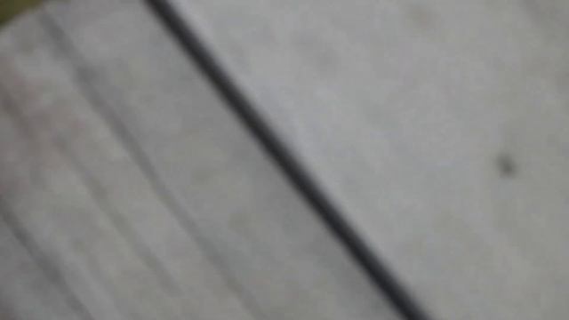 ОНИ ВОКРУГ НАС. ДРЕВОТОЧЕЦ. смотреть онлайн