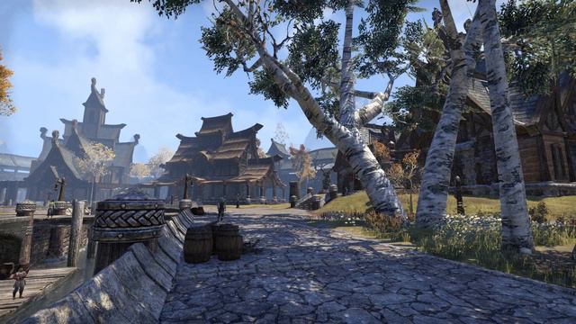 Top 5 Most Beatiful Cities - Elder Scrolls Online смотреть онлайн