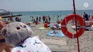 Басик на море???️