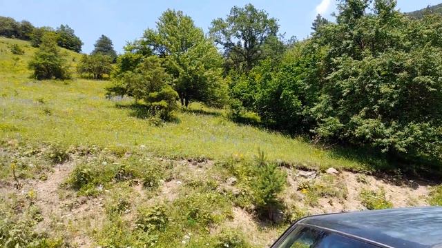 Теберда 2022. смотреть онлайн