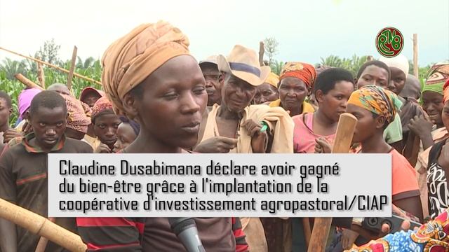 Des champs de cultures à perte de vue dans le périmètre agraire de Nyakagunda Rugombo Cibitoke смотреть онлайн