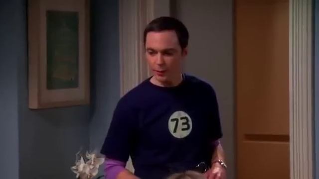 Шелдон наводит порядок Педантичный тип