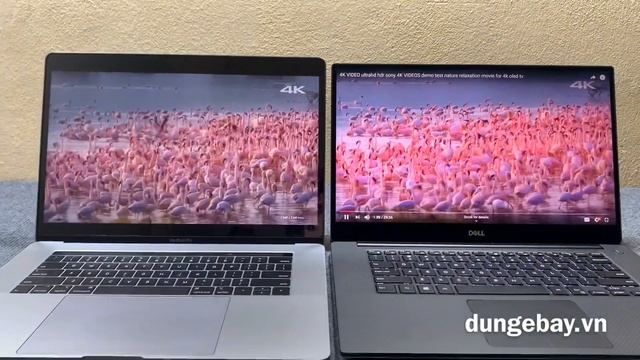 Macbook pro 15" 2019 vs Dell Precision 5530 4K - dungebay.vn смотреть онлайн