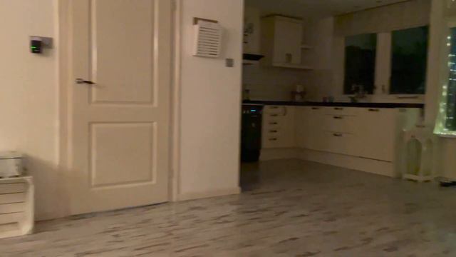 Собака не дает заниматься делами #AmyDog смотреть онлайн