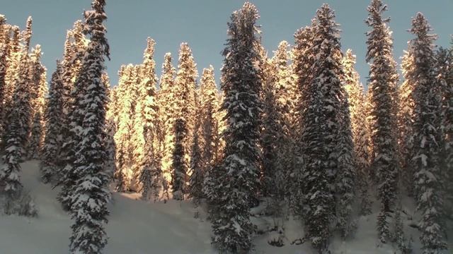 Теплый ключ с "Алтай-Гидом" смотреть онлайн