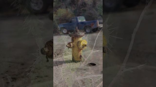 Венесуэла, остров Маргарита, отель SUNSOL Ecoland, май 2023 год. смотреть онлайн