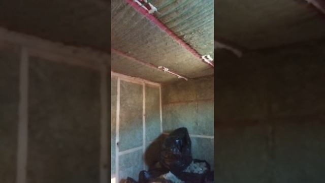 Мастерская мечты 57 день ЧАСТЬ 2 смотреть онлайн