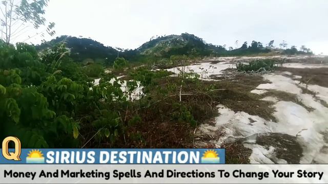 Money And Marketing Spells And Direction Herbs To Change Your Story смотреть онлайн