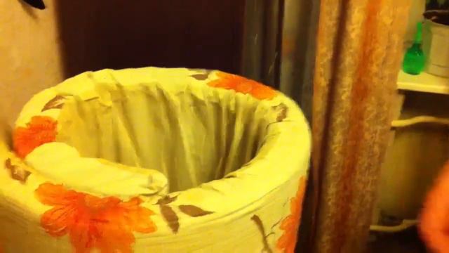 Кошка Чара - "Крадущийся тигр, затаившийся дракон" смотреть онлайн
