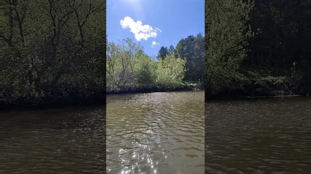С Днём Волги смотреть онлайн