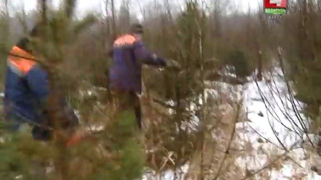 Среда обитания 30-01-17 смотреть онлайн