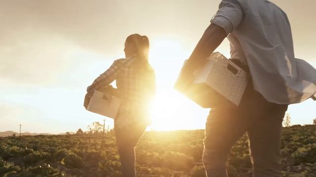 Caminamos Juntos Kamet Calzado de Seguridad Comercial смотреть онлайн